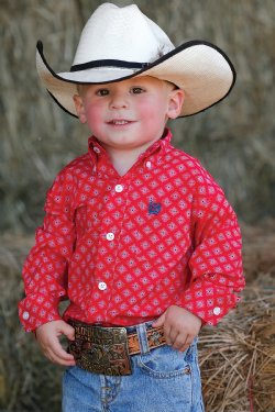 BLOUSE CINCH PRINT MULTI – Cowboy Corral Inc.