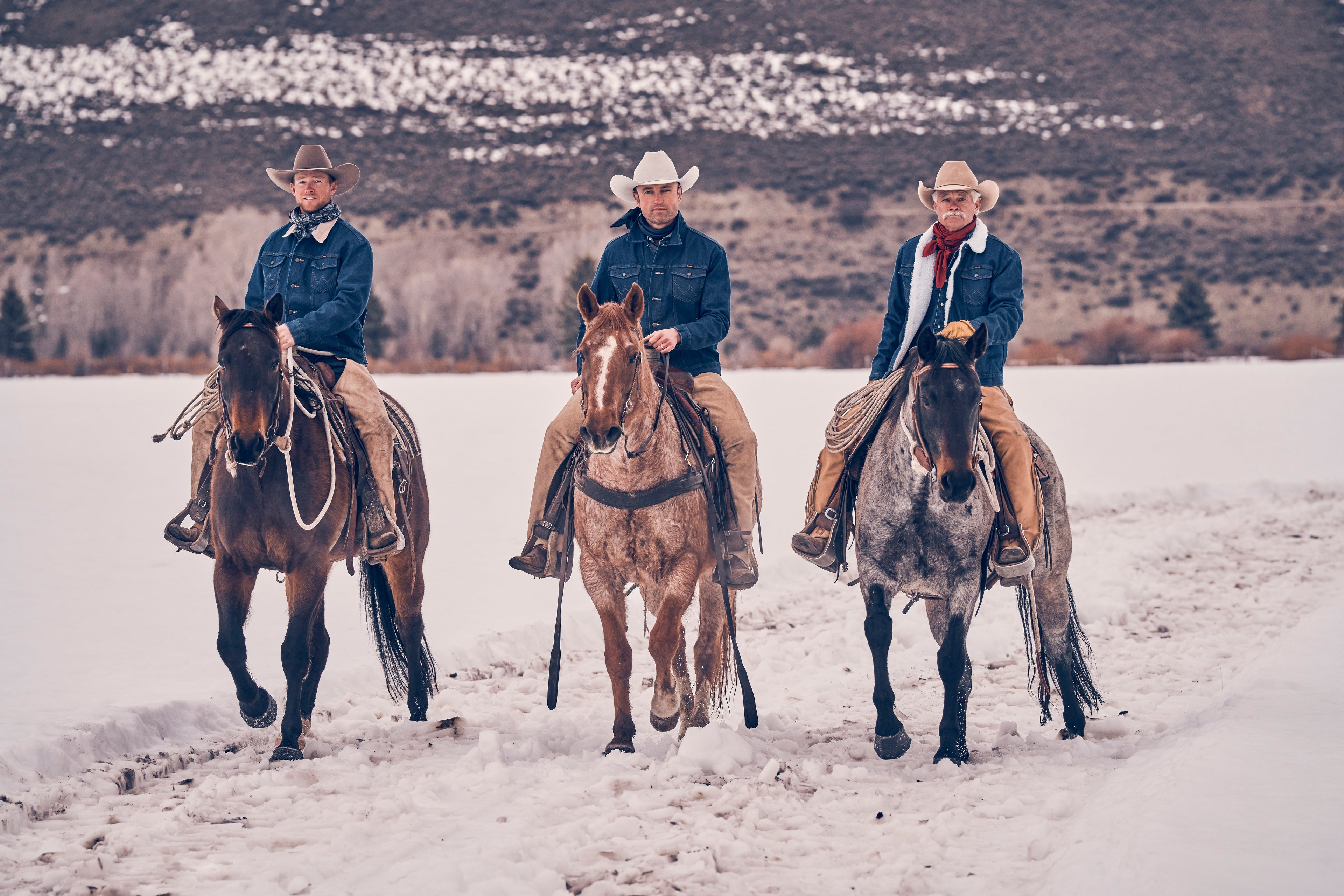 corral western wear outlets