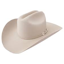 STETSON 5X LARIAT SILVERBELLY FELT HAT